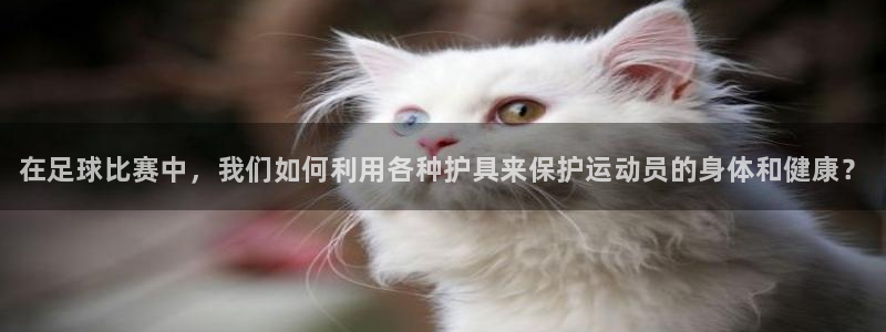 3377体育官方正版app娱乐是那个系列的台子