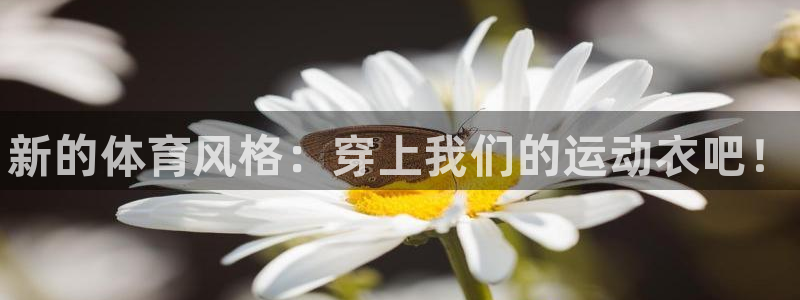 3377体育官方正版app娱乐40996：新的体育风格：穿上