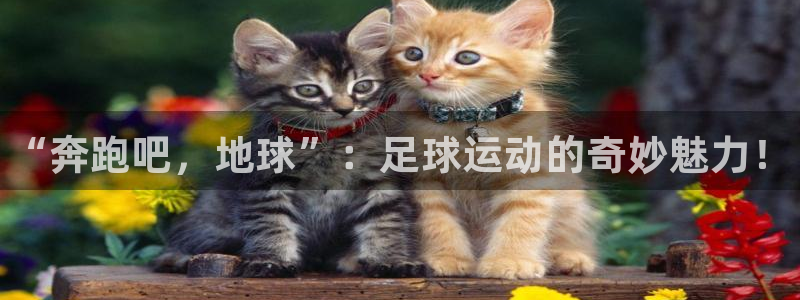 3377体育官网下载平台注册流程视频：“奔跑吧，地球”：足球
