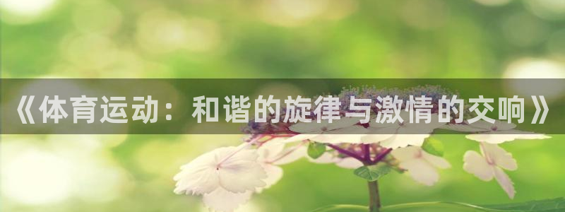 3377体育官网下载平台是正规平台吗