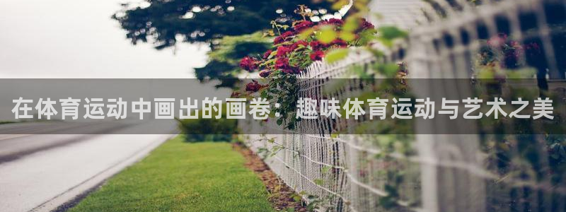 3377体育官网下载平台是正规平台吗安全吗：在体育运