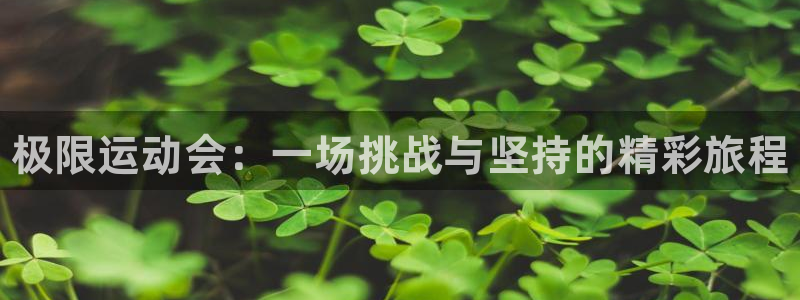 3377体育官网下载招商