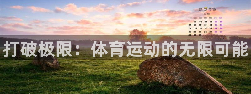 注册3377体育官方正版app：打破极限：体育运动的
