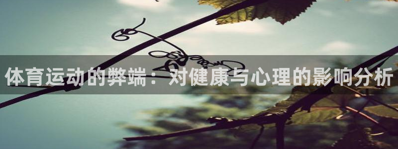 3377体育官方正版app娱乐是那个系列的台子：体育