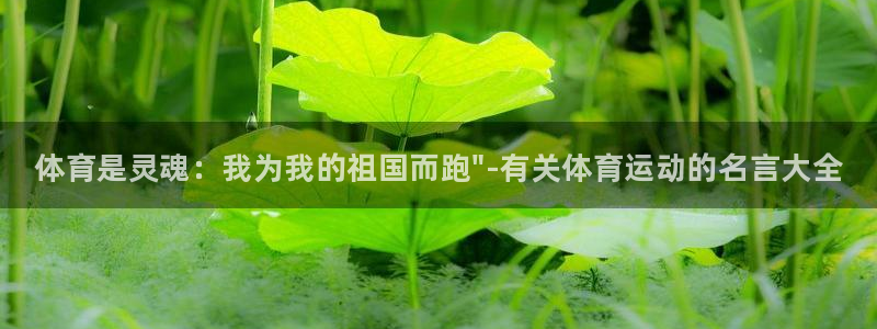 3377体育官方集团官网：体育是灵魂：我为我的祖国而跑\