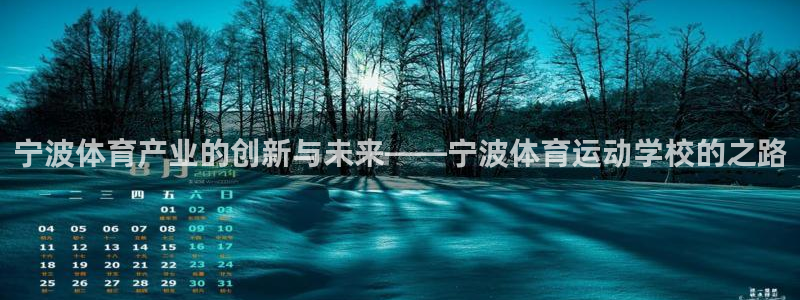 3377体育官网下载是干嘛的公司：宁波体育产业的创新与未来—