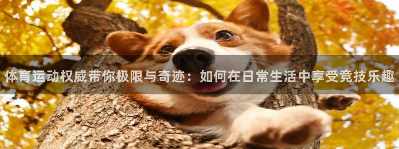 3377体育官网下载招商电话号码查询：体育运动权威带