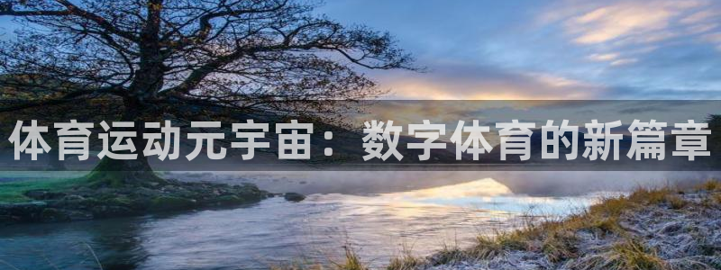 3377体育官网下载平台注册要钱吗安全吗：体育运动元宇宙：数