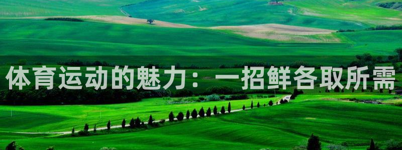 3377体育官网下载平台注册要钱吗是真的吗：体育运动的魅力：