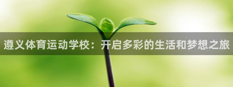3377体育官方正版app集团官网首页