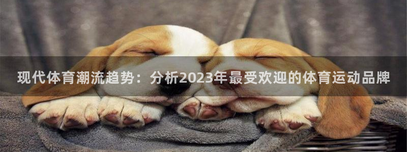 3377体育官方正版app集团官网首页网址：现代体育潮流趋势