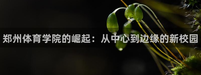 3377体育官方正版app娱乐：郑州体育学院的崛起：从中心到