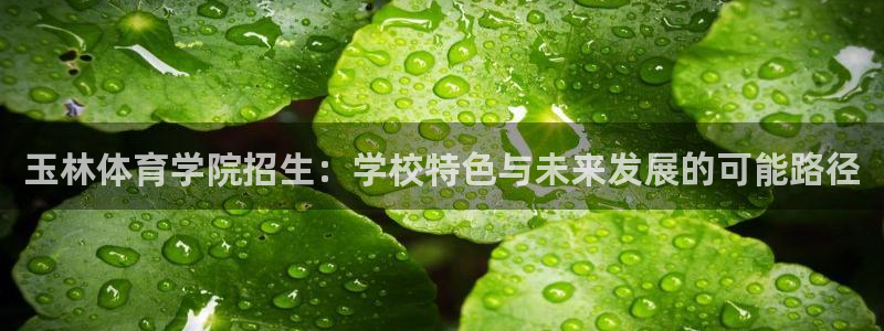 3377体育官方正版app开户：玉林体育学院招生：学