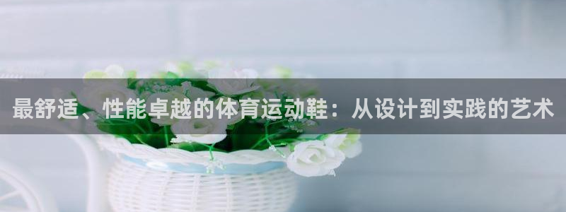 3377体育官方正版app集团logo：最舒适、性能卓越的体