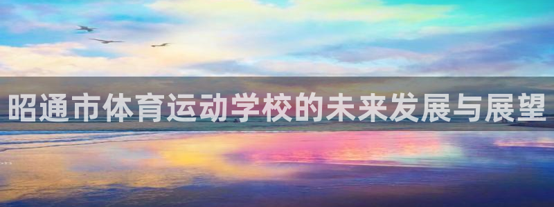 3377体育官方正版app集团官网网址