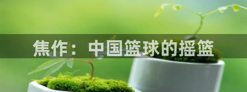 3377体育官方正版app集团：焦作：中国篮球的摇篮