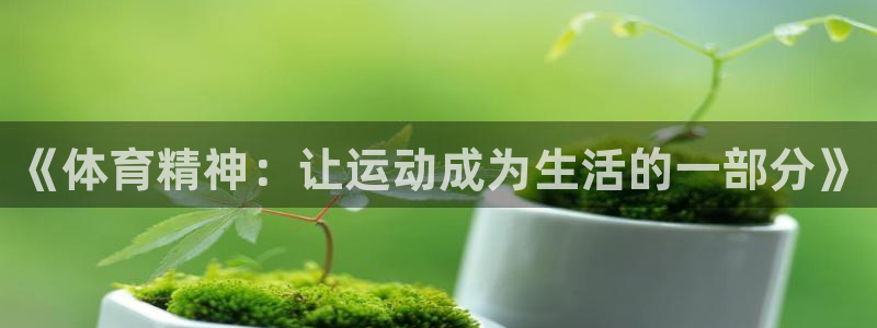 3377体育官方正版app科技：《体育精神：让运动成为生活的