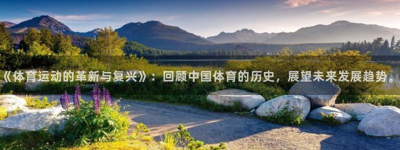 3377体育官网下载是干嘛的公司：《体育运动的革新与复兴》：